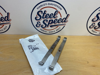Genuine Harley-Davidson Fender Wire Holding CLIP (Set of 2) 10191A0