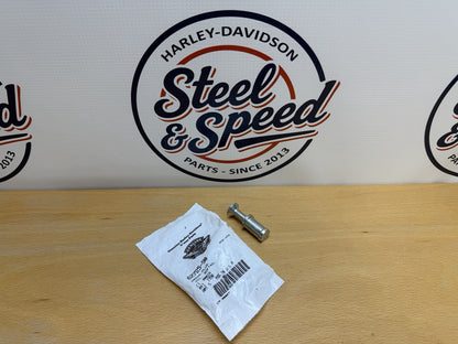 Genuine Harley-Davidson Oil Drain Plug 62725-900