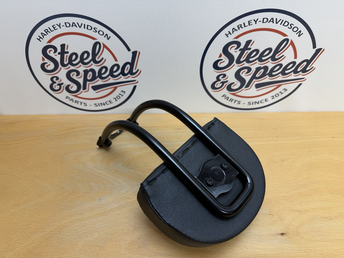 Genuine Harley-Davidson Sportster S RH1250S Passenger Backrest Kit 523007154