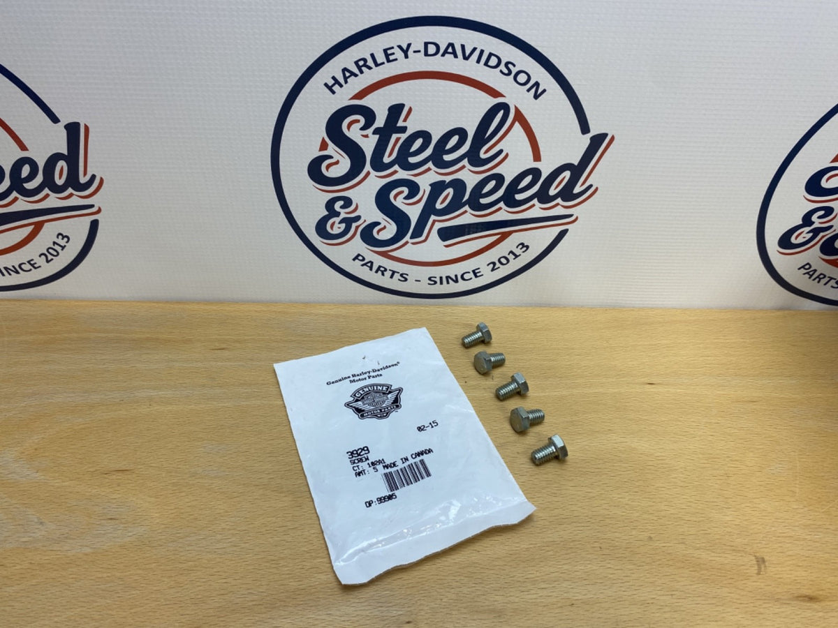 Genuine Harley-Davidson SCREW 5/16-18x1/2 Hex Head (Set of 5) 39290