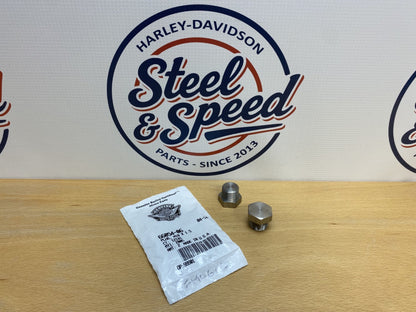 Genuine Harley-Davidson 12mm Exhaust Oxygen Sensor PLUG (Set of 2) 66054-060