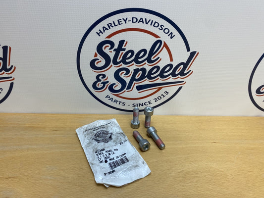 Genuine Harley-Davidson SCREW M10x1.5x30 Socket Head (Set of 4) 4534M0