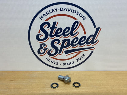 Genuine Harley-Davidson Brake BANJO BOLT & Washers 41747-82A0