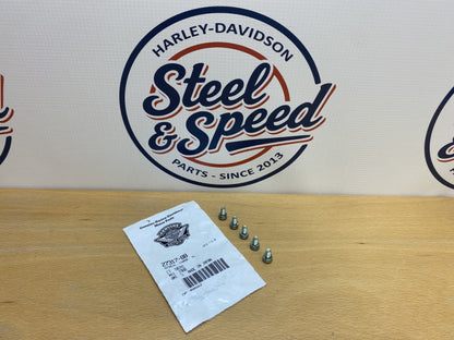 Genuine Harley-Davidson Carburettor Throttle Bracket SCREW (Set of 5) 27317-880
