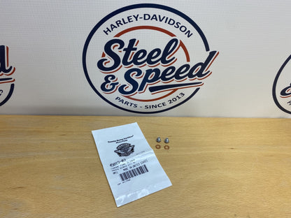 Genuine Harley-Davidson Fork Slider DRAIN SCREW WITH WASHER 45815-030